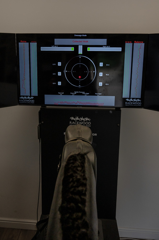 Rider's view of the Racewood simulator's dressage analysis screens