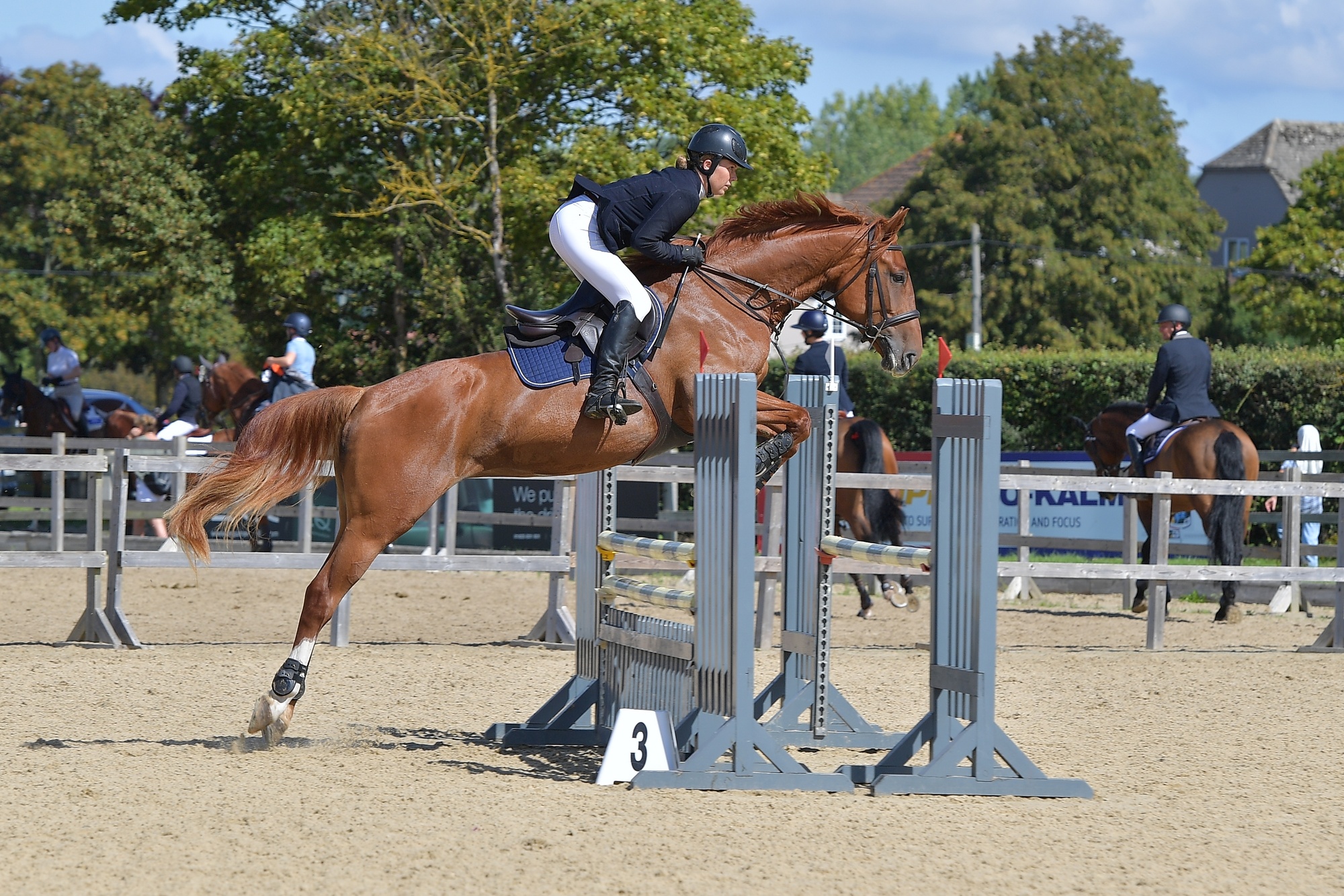 Horse and rider jumping cross-country in Sussex